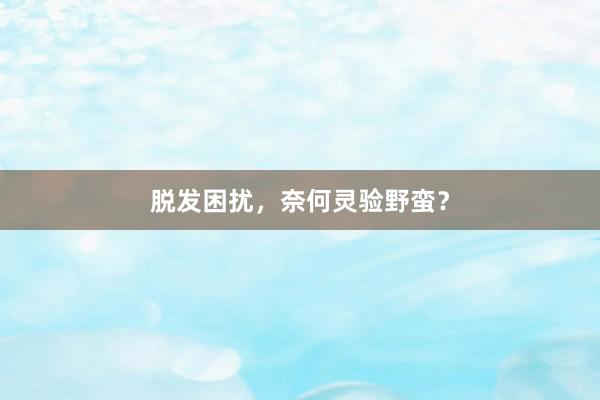 脱发困扰，奈何灵验野蛮？