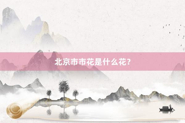 北京市市花是什么花？